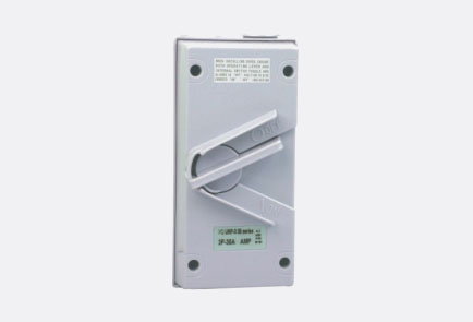 /WP2 Weatherproof Enclosed Isolator